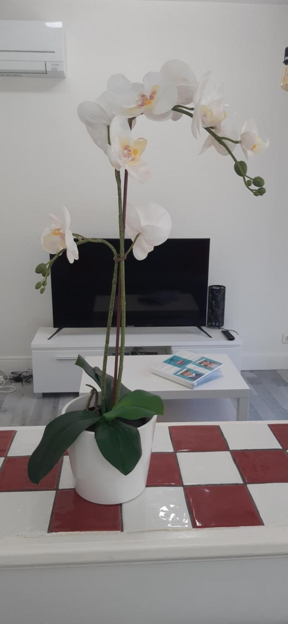 Logement Le Serein Tulon Zewnętrze zdjęcie